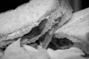 Cheese And Tomato Sandwich