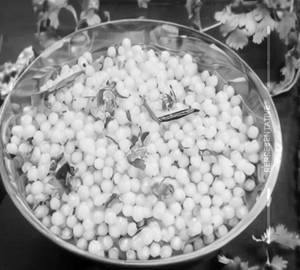 Sabudana Khichdi