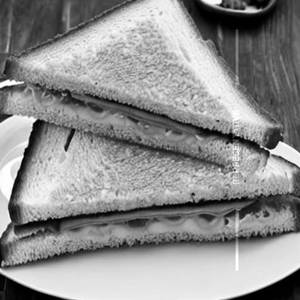 Cheese Sandwich