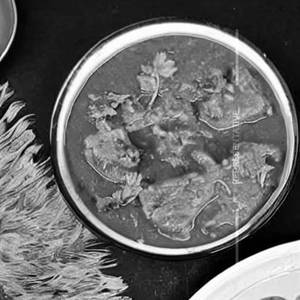 Kaju Curry      