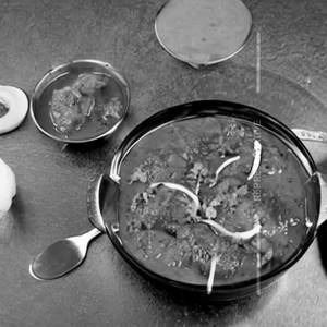 Began Masala