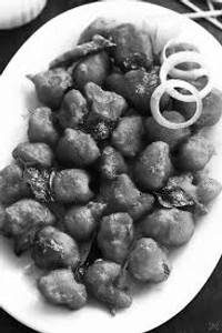Gobi 65