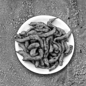 Peanut Fry