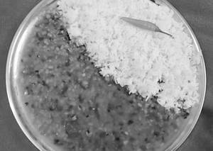 Dhaba Dal  Chawal