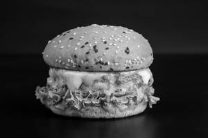 Egg & Cheese Burger