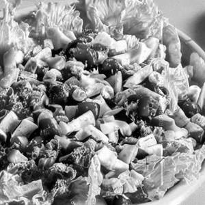Tossed Salad