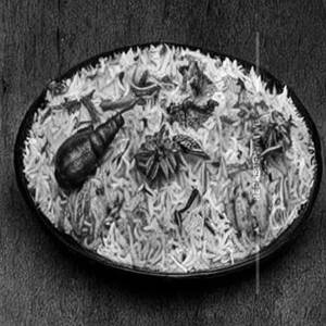 Desi Veg Tadka Biryani