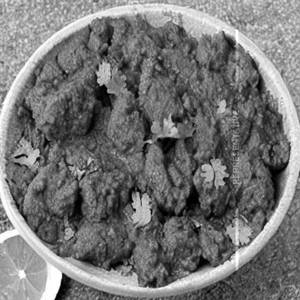 Gobi Masala
