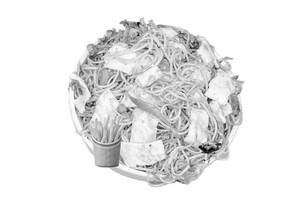 Egg Noodles