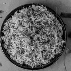 Zeera Rice