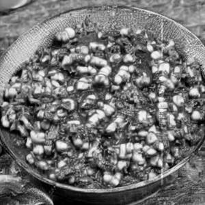 Palak Corn