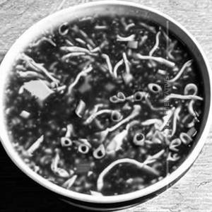 Chicken Manchow Soup