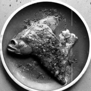 Butter Garlic Fish