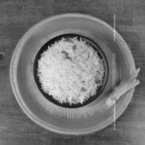 Plain Basmati Rice