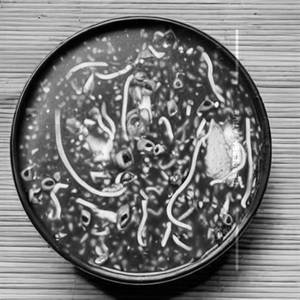 Chicken Manchow Soup