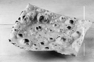 Butter Roti