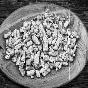 American Corn  Salt & Pepper