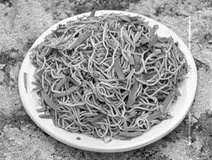 Mixed Hakka Noodles