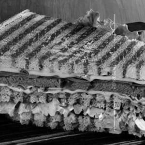 A Special Resturent Sandwich