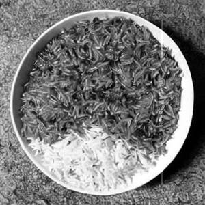 Fine Rice