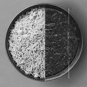Fine Rice