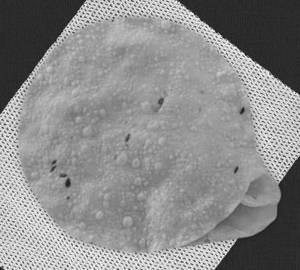 Fry papad
