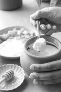 Curd Dahi