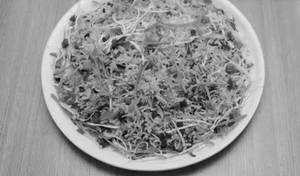 Triple Fried Rice