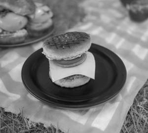 Cheese Grilled Burger  