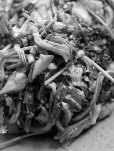 Shredded Chicken Hot Garlic Sauce