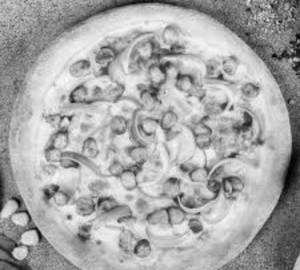 Cheese Onion Corn Pizza