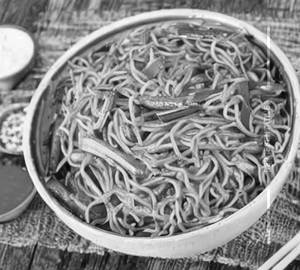 Veg Schezwan Noodles 