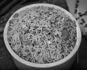 Schezwan Veg Fried Rice