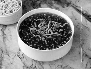 Veg Manchow Soup 