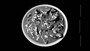 Mushroom Hyderabadi