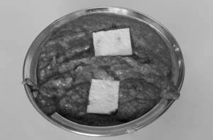 Khoya Paneer