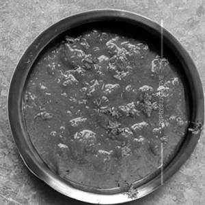 Mushroom Gravy