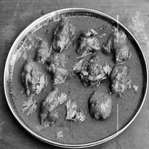 Chicken lappa