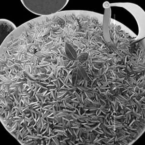 Puli rice