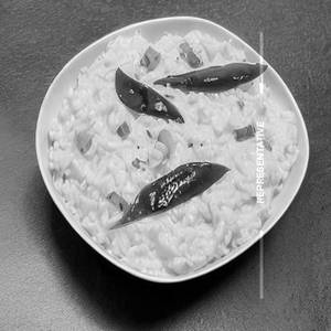 Curd Rice