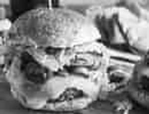 VEG BURGER