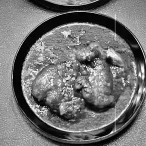 Chicken Chops								