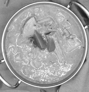 Sambar (250 Mi )