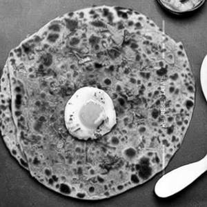 Chicken Keema Egg Paratha