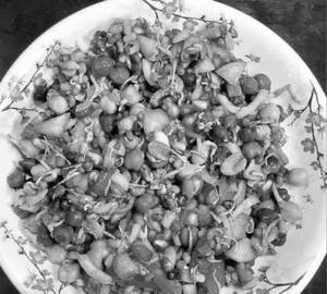 Sprouted boiled mixed kathol chaat (150 grams)