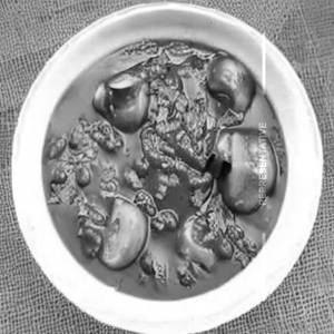 Chilli Mushroom Gravy