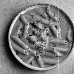 Vodka Sauce