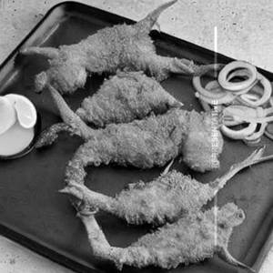 Fish Fry