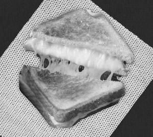 Cheese Chilly Sandwich