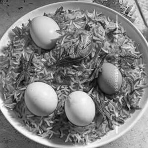 Egg biryani